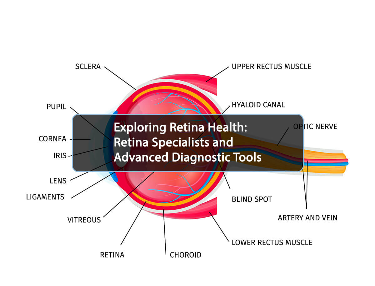 Human Eye Anatomy - Ophthalmologists and Retinal Specialists